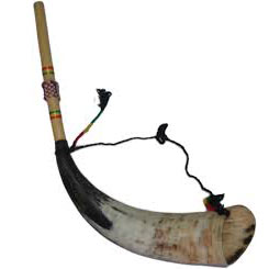 להקת טריו אינדיו